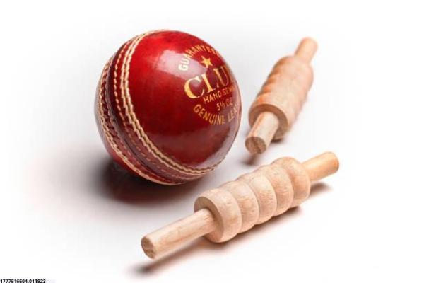 泰山体育培训课程受欢迎原因解析(图1)